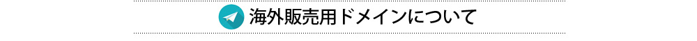 海外販売用ドメインについて