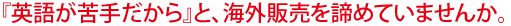 英語が苦手と海外販売を諦めていませんか。みらいカートが解決しました。