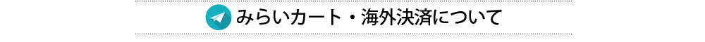 「みらいカート」海外決済について